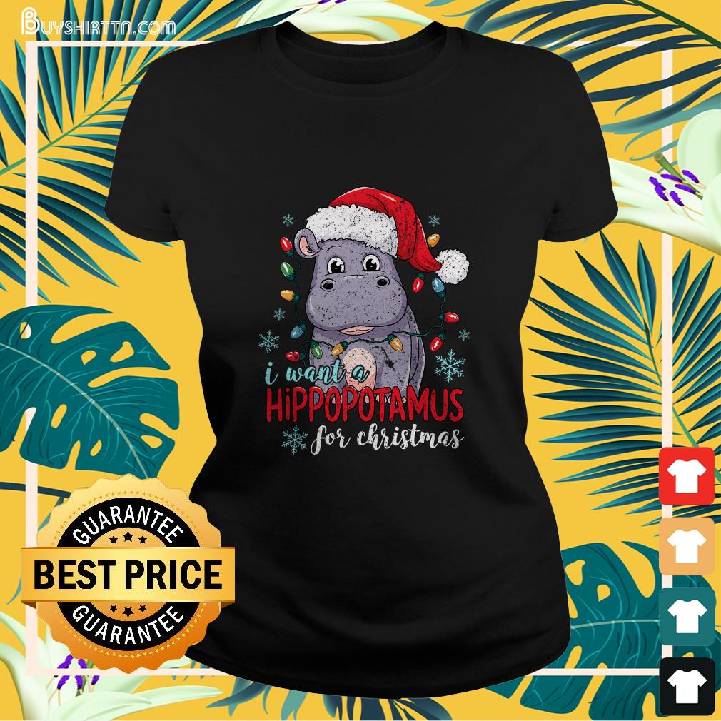 I Want A Hippopotamus For Christmas Cute Christmas Costume T-Shirt