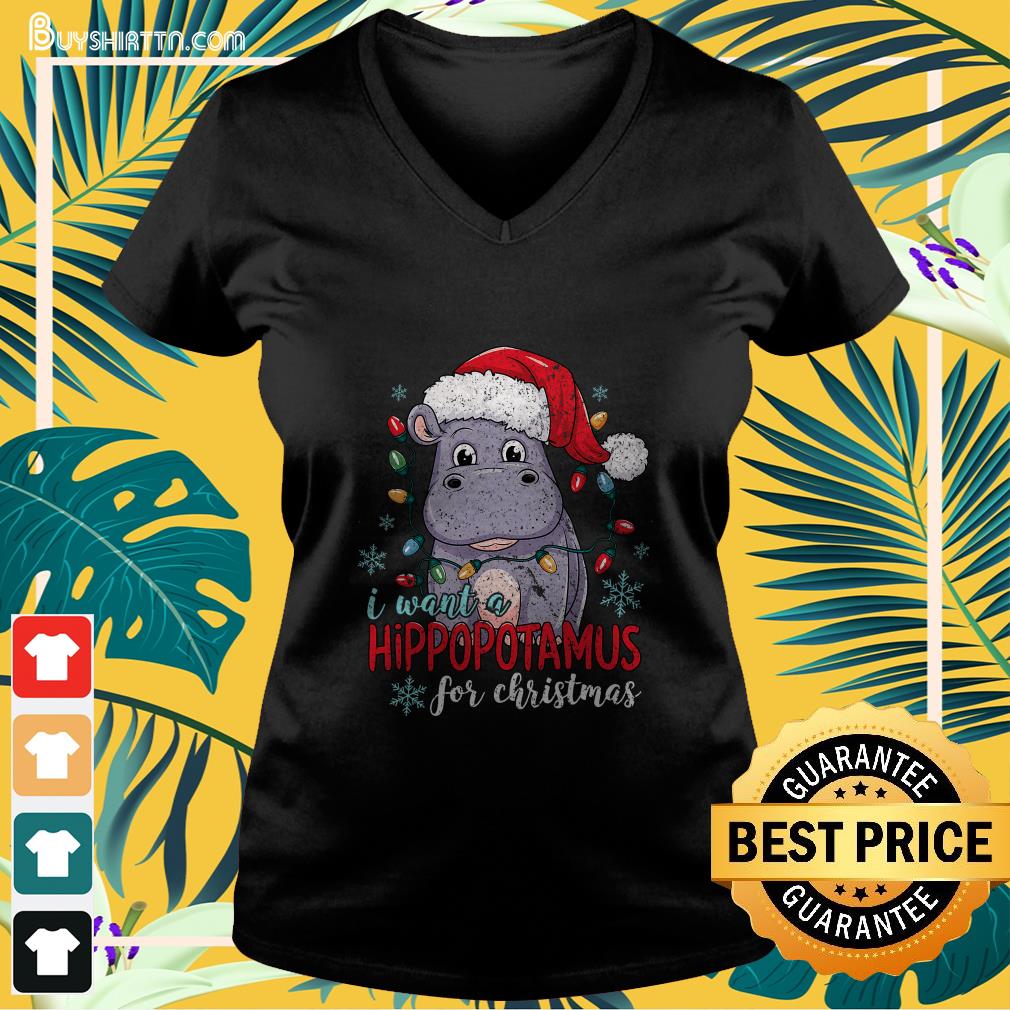 I Want A Hippopotamus For Christmas Cute Christmas Costume T-Shirt