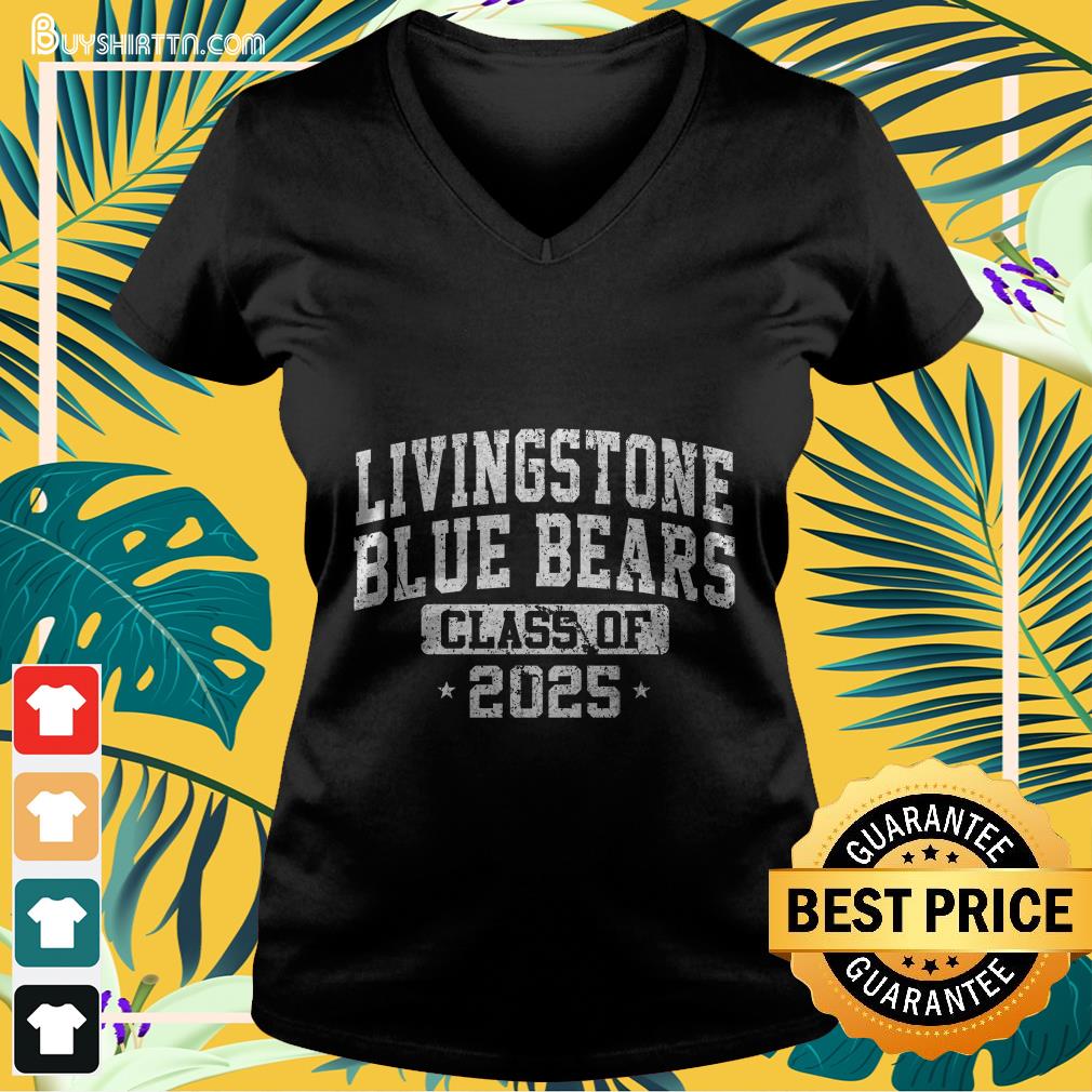 Livingstone College Class of 2025 Graduate Arch Vintage Long Sleeve T-Shirt