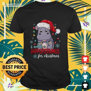 I Want A Hippopotamus For Christmas Cute Christmas Costume T-Shirt