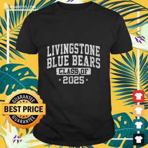 Livingstone College Class of 2025 Graduate Arch Vintage Long Sleeve T-Shirt